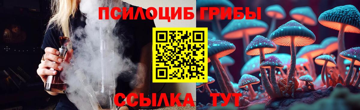 Псилоцибиновые грибы Magic Shrooms  Вход с VPN  Мичуринск 